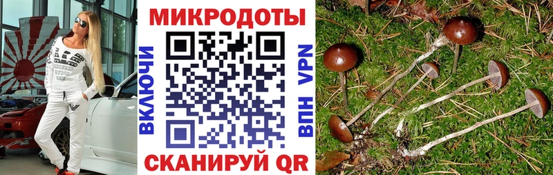 Купить где  Белово  Галлюциногенные грибы MAGIC MUSHROOMS 